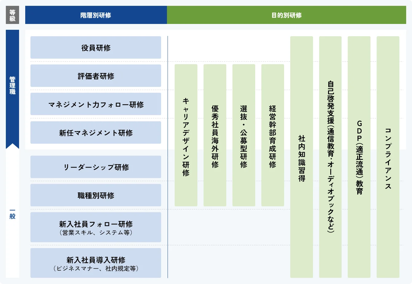 イラスト:研修体制図を示しています 内容はこのあとの本文で説明しています