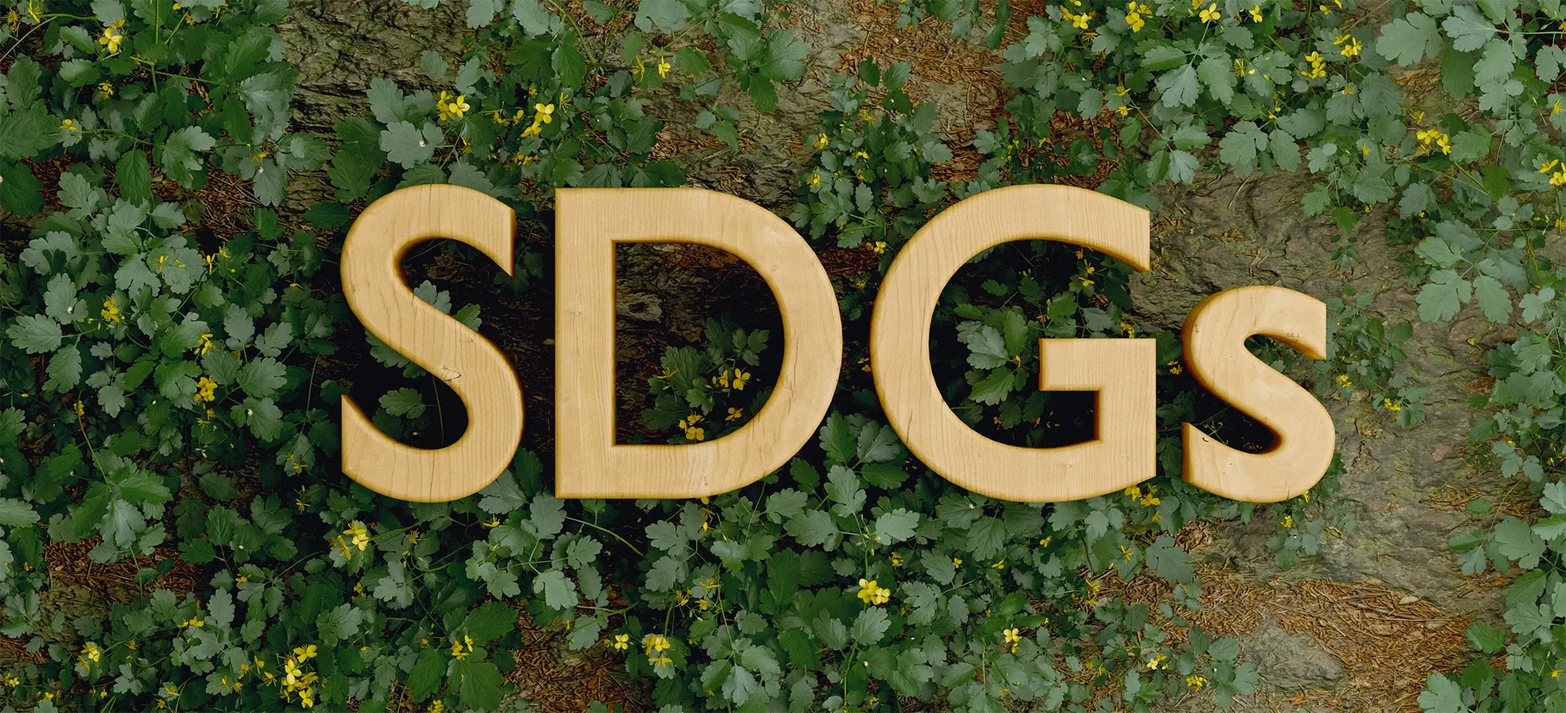 SDGs